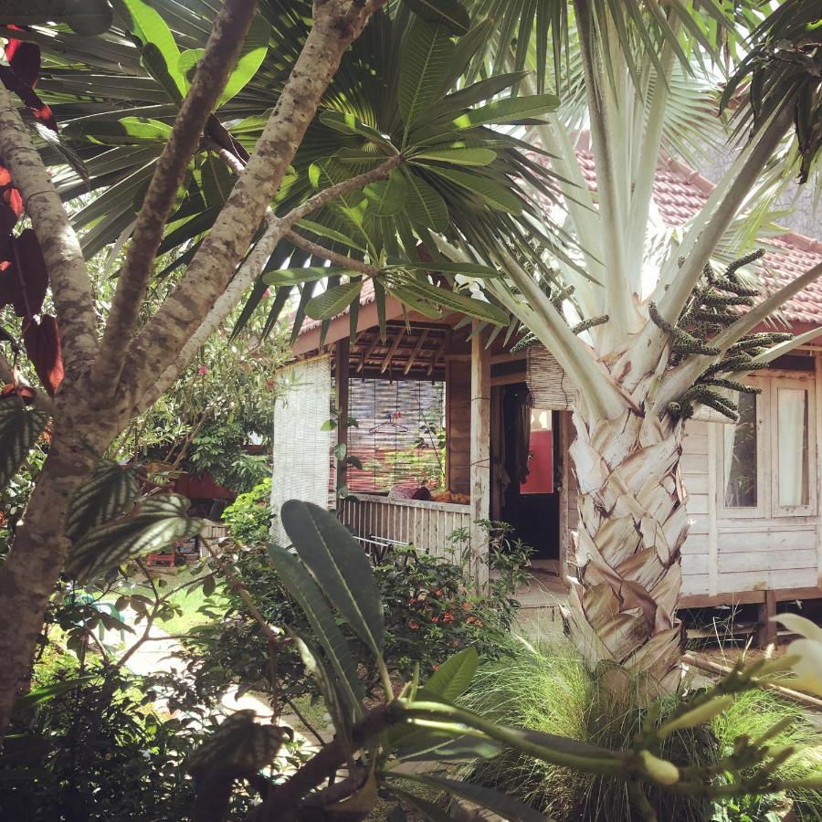 Appartamento Harry'S Ocean House Pacitan Esterno foto